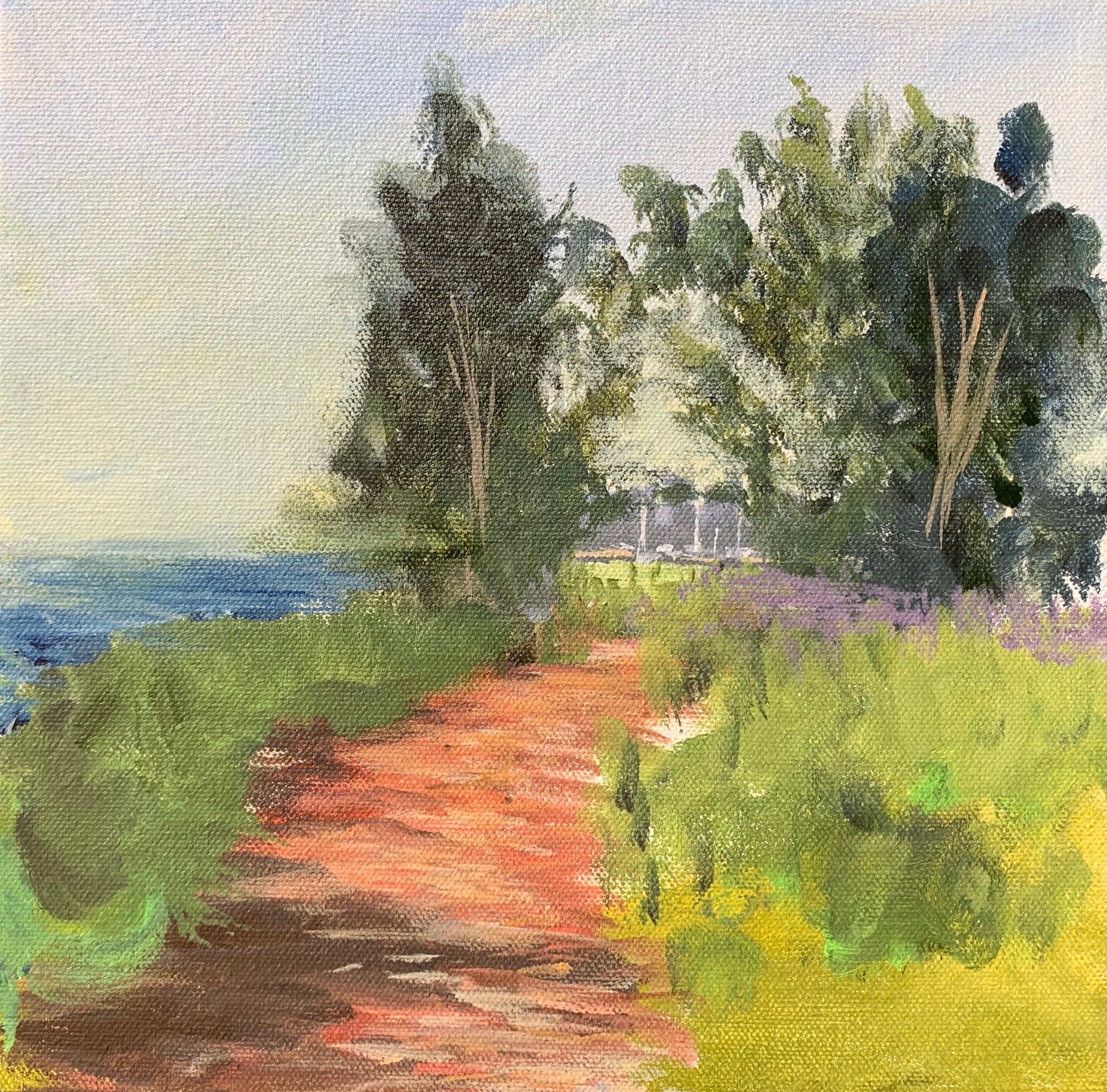 Study of Lakefront Path